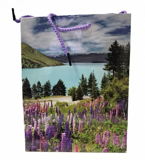 Пакет подарочный ламинированный (180x230x100мм) (Purple/Фиолетовый)