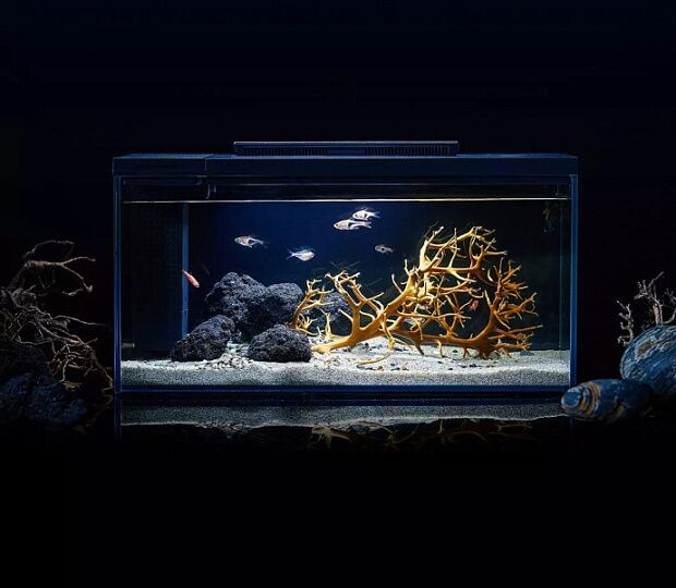 Умный аквариум с оформлением Petkit Origin Fish Single Cylinder with Landscape Quiet Stone Set 10L - 6
